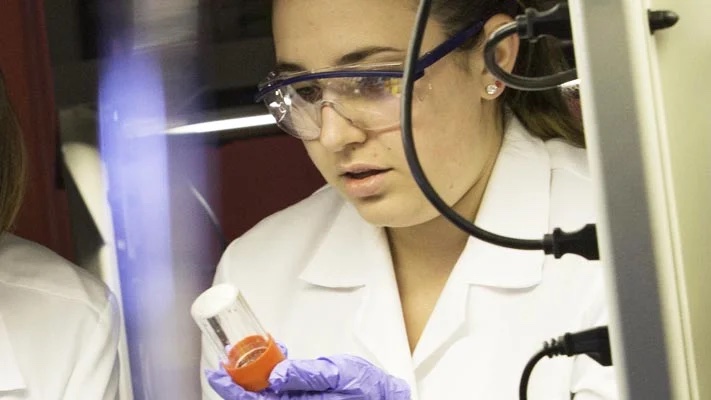 New College Undergraduate Inquiry and Research Experiences