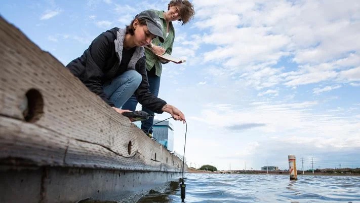 The SURE program: Sustainability Undergraduate Research Experience
