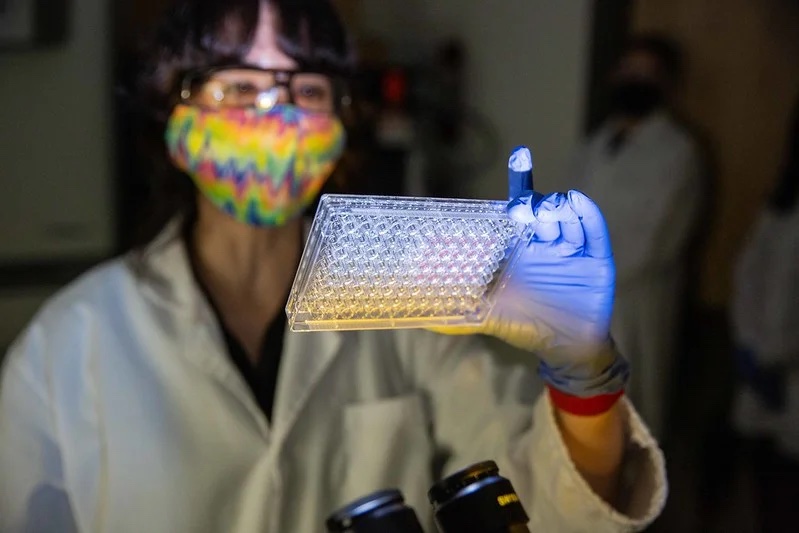 School of Molecular Sciences: Undergraduate Research Opportunities