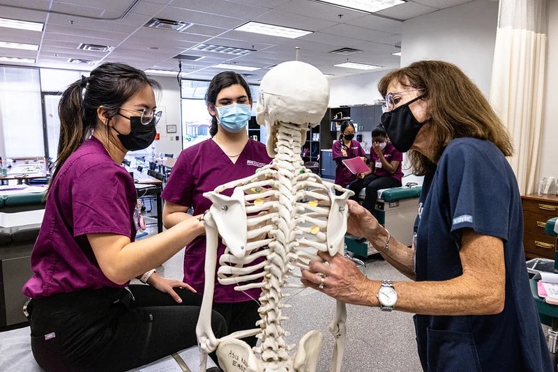 Edson College of Nursing and Health Innovation: Research opportunities