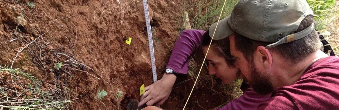 School of Human Evolution and Social change: internships